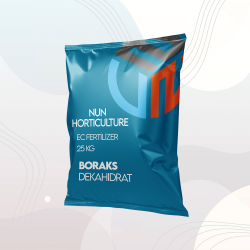 Boraks Dekahidrat